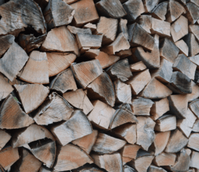 hout -  - Ecologie
