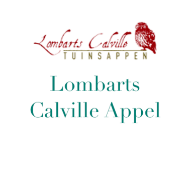 Lombarts Calville Appel -  - Restaurant Parkhotel